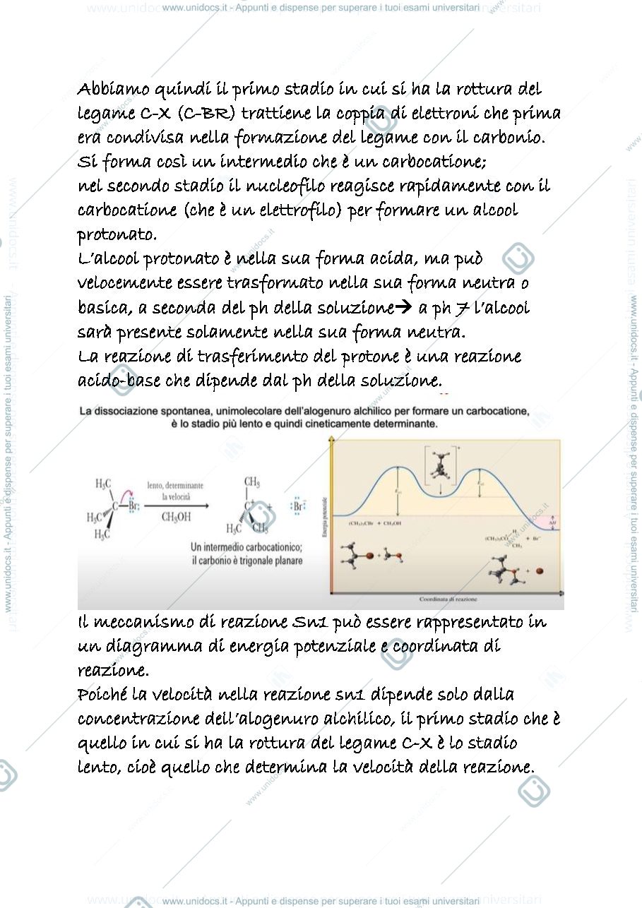 Anteprima pagina 2 — 13 b