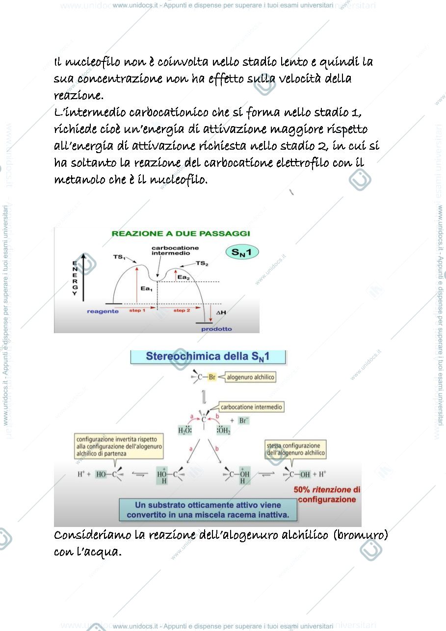 Anteprima pagina 3 — 13 b