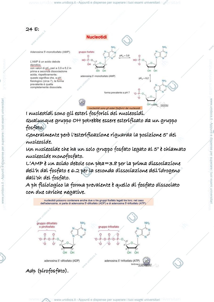 Anteprima pagina 1 — 24 e