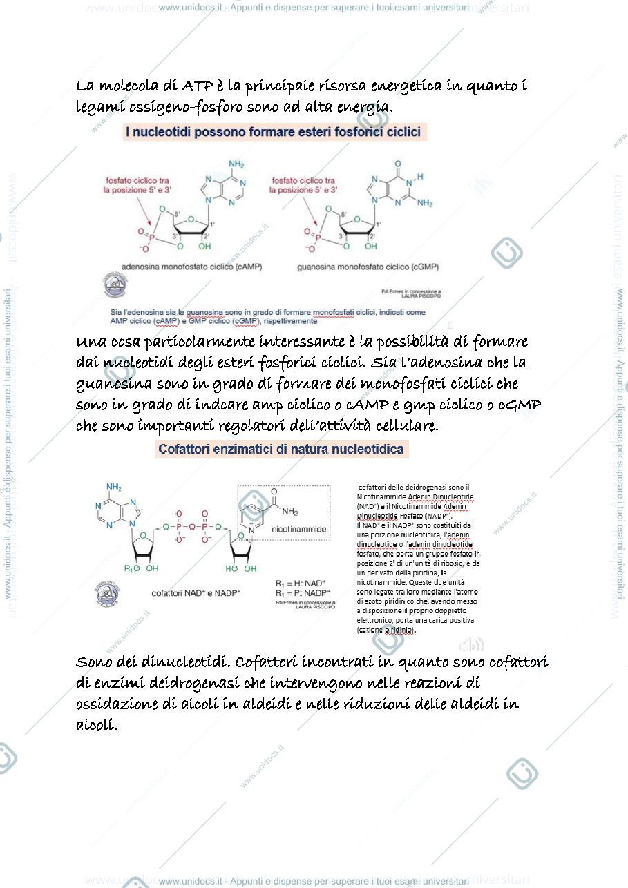 Anteprima pagina 2 — 24 e