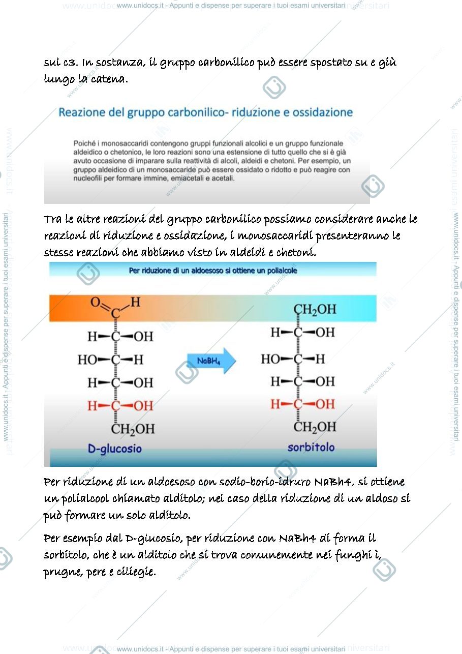 Anteprima pagina 3 — 22 a