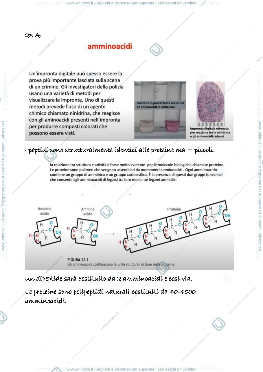 Anteprima pagina 1 — 23 a