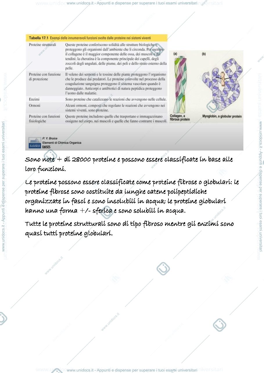 Anteprima pagina 2 — 23 a
