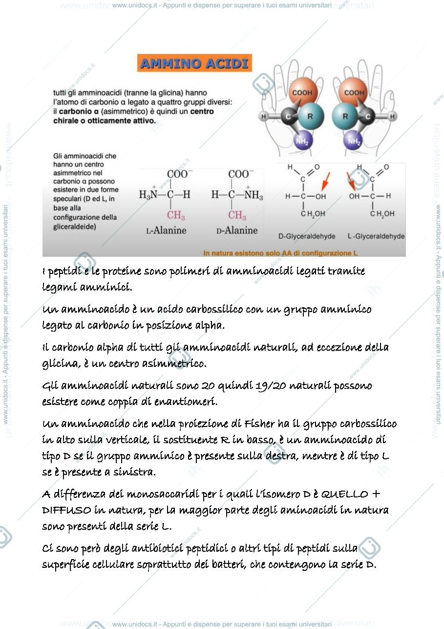 Anteprima pagina 3 — 23 a