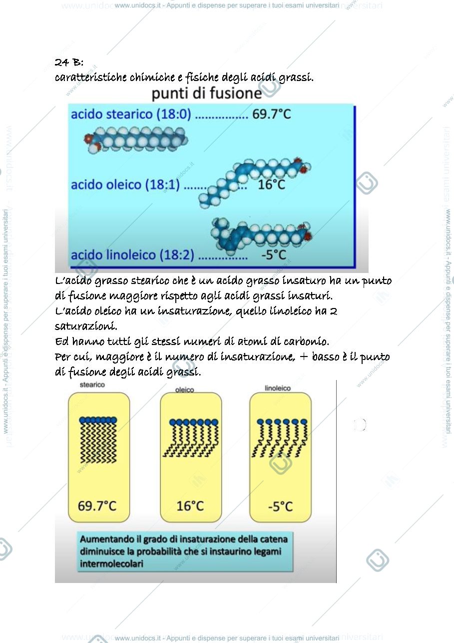 Anteprima pagina 1 — 24b