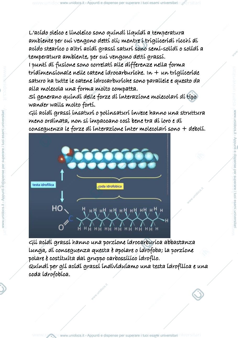 Anteprima pagina 2 — 24b