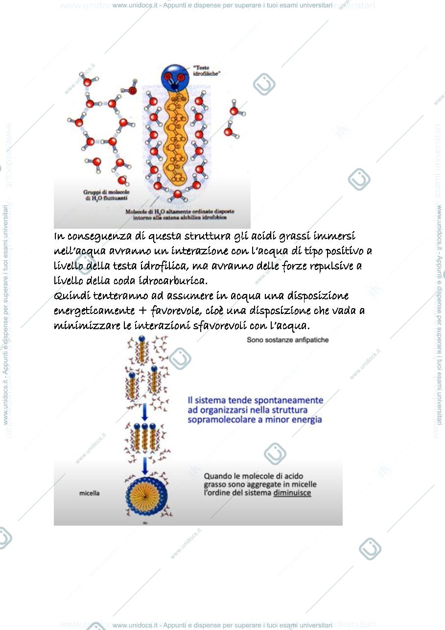 Anteprima pagina 3 — 24b