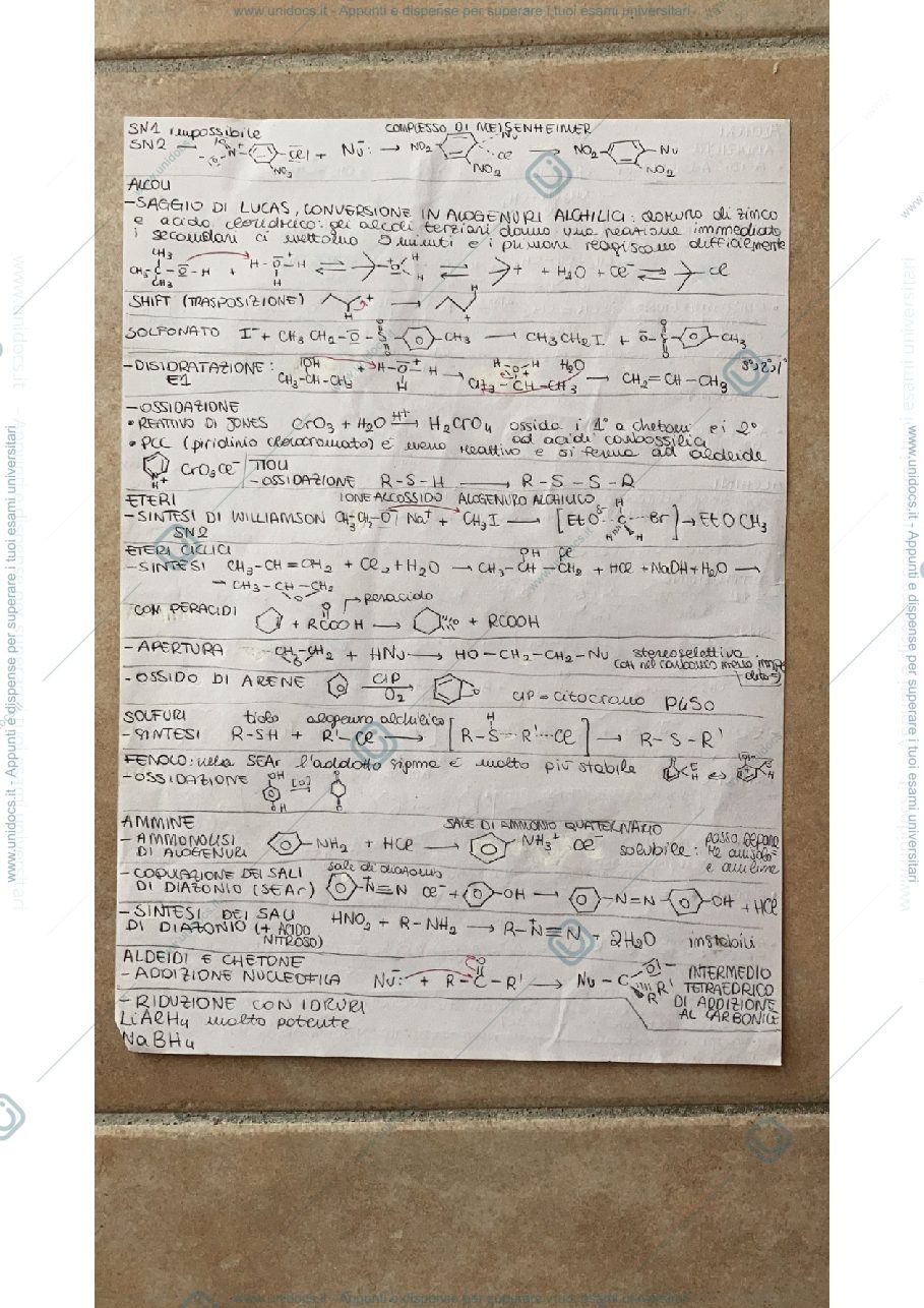 Anteprima pagina 1 — Reazioni Chimica Organica