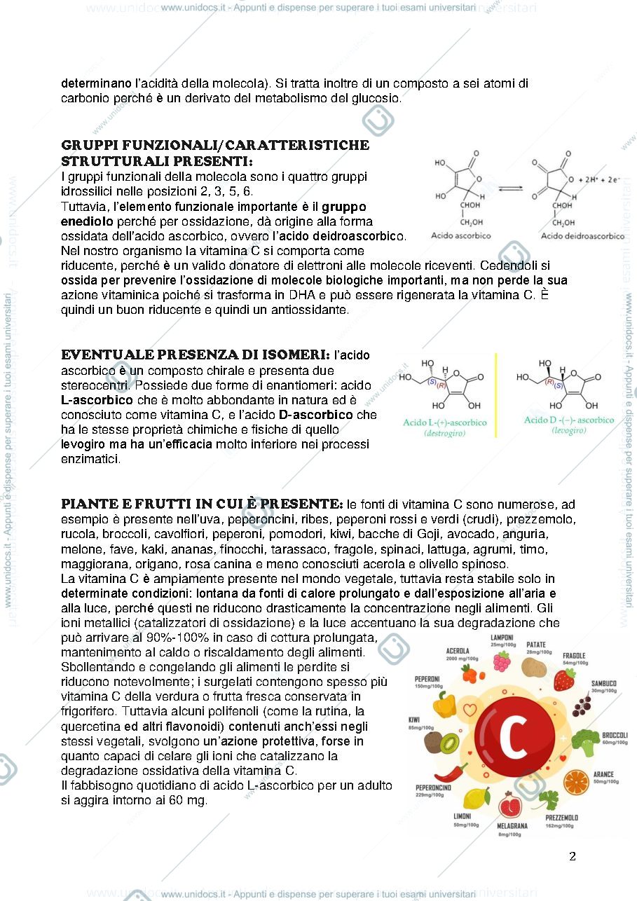 Anteprima pagina 2 — acido ascorbico