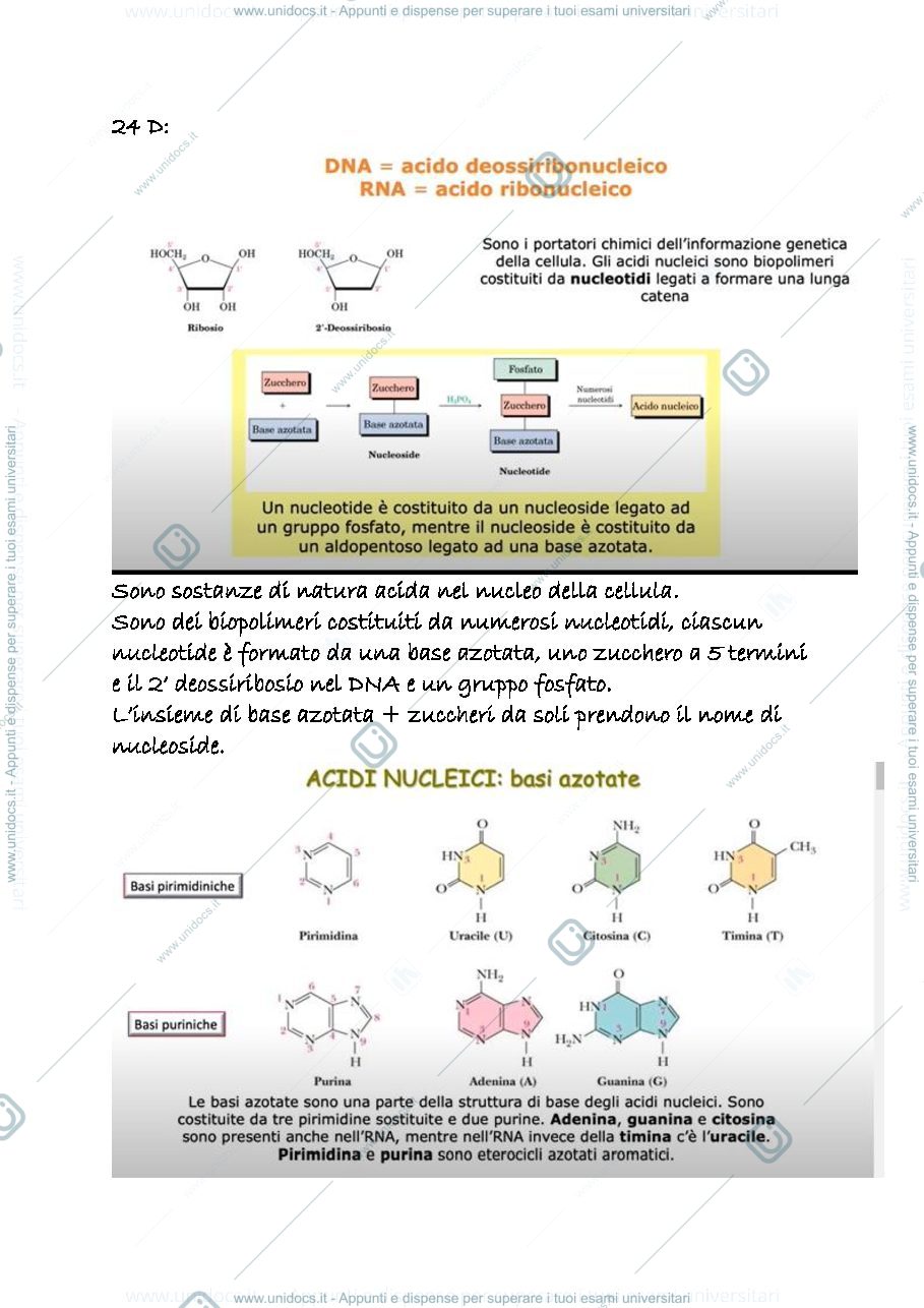 Anteprima pagina 1 — 24d