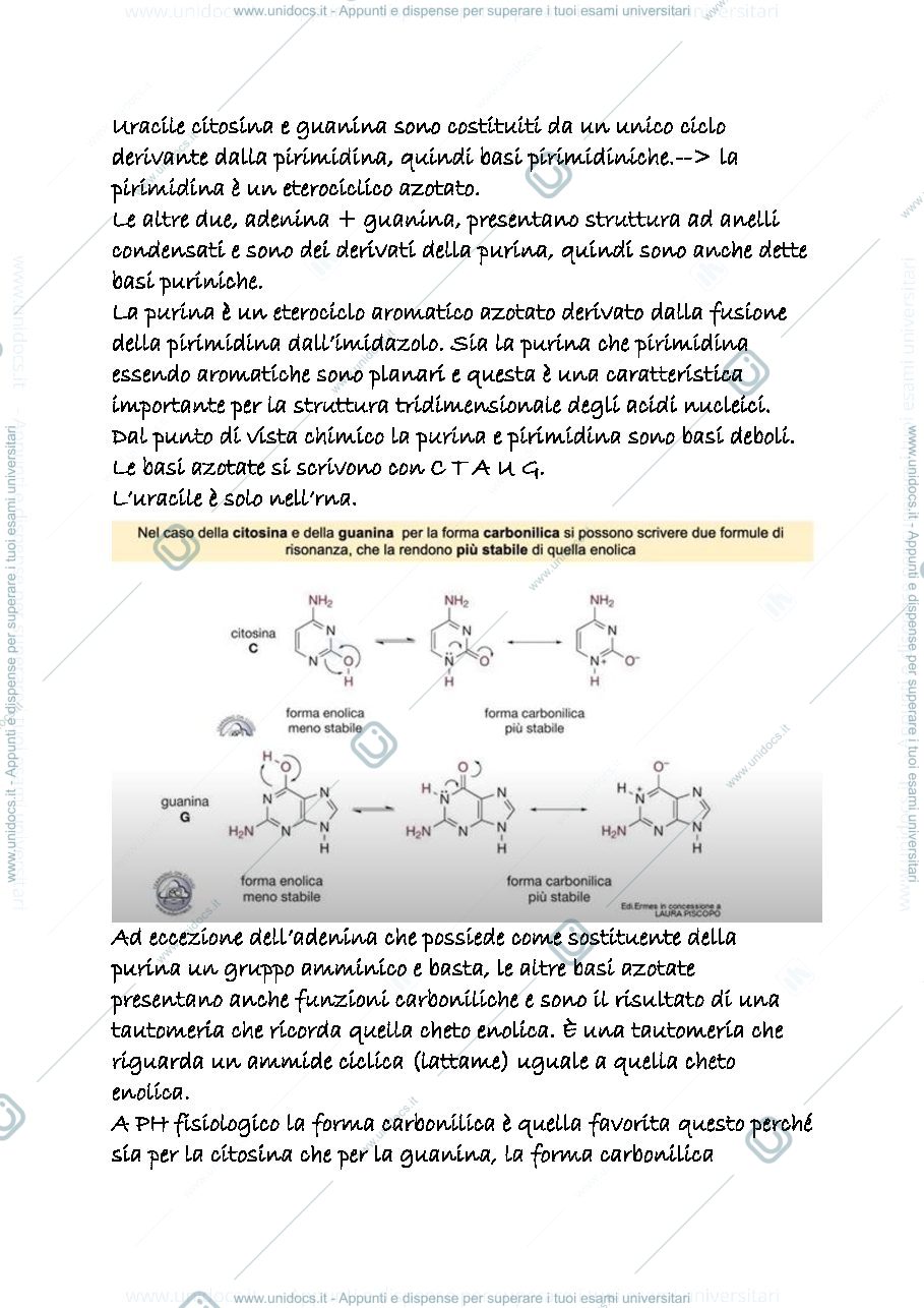 Anteprima pagina 2 — 24d