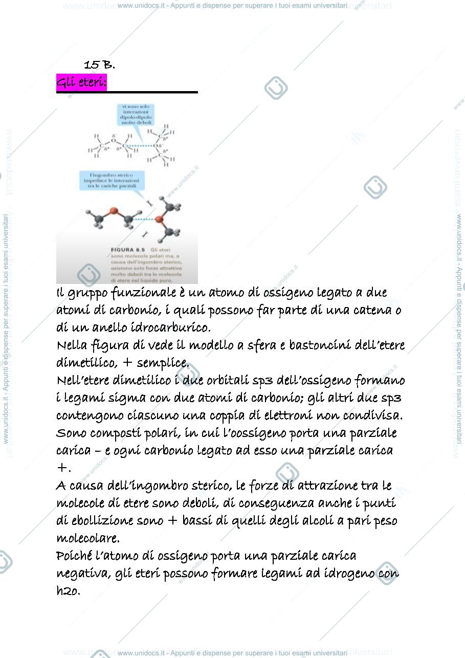 Anteprima pagina 1 — 15 b