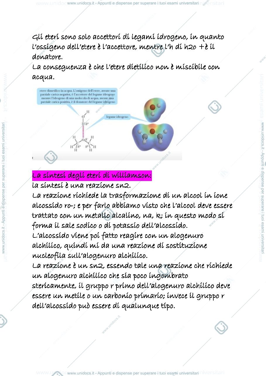 Anteprima pagina 2 — 15 b