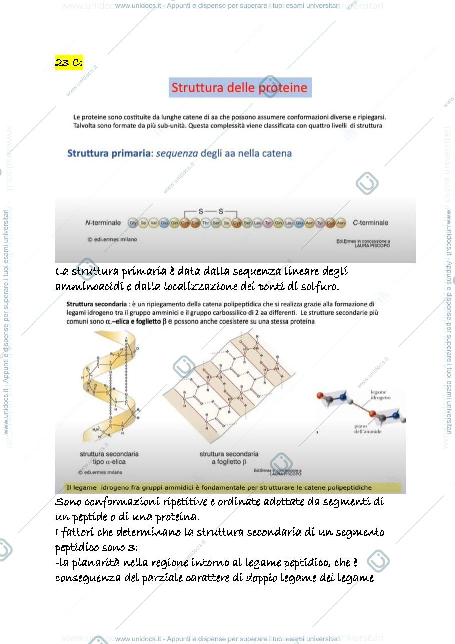 Anteprima pagina 1 — 23 c