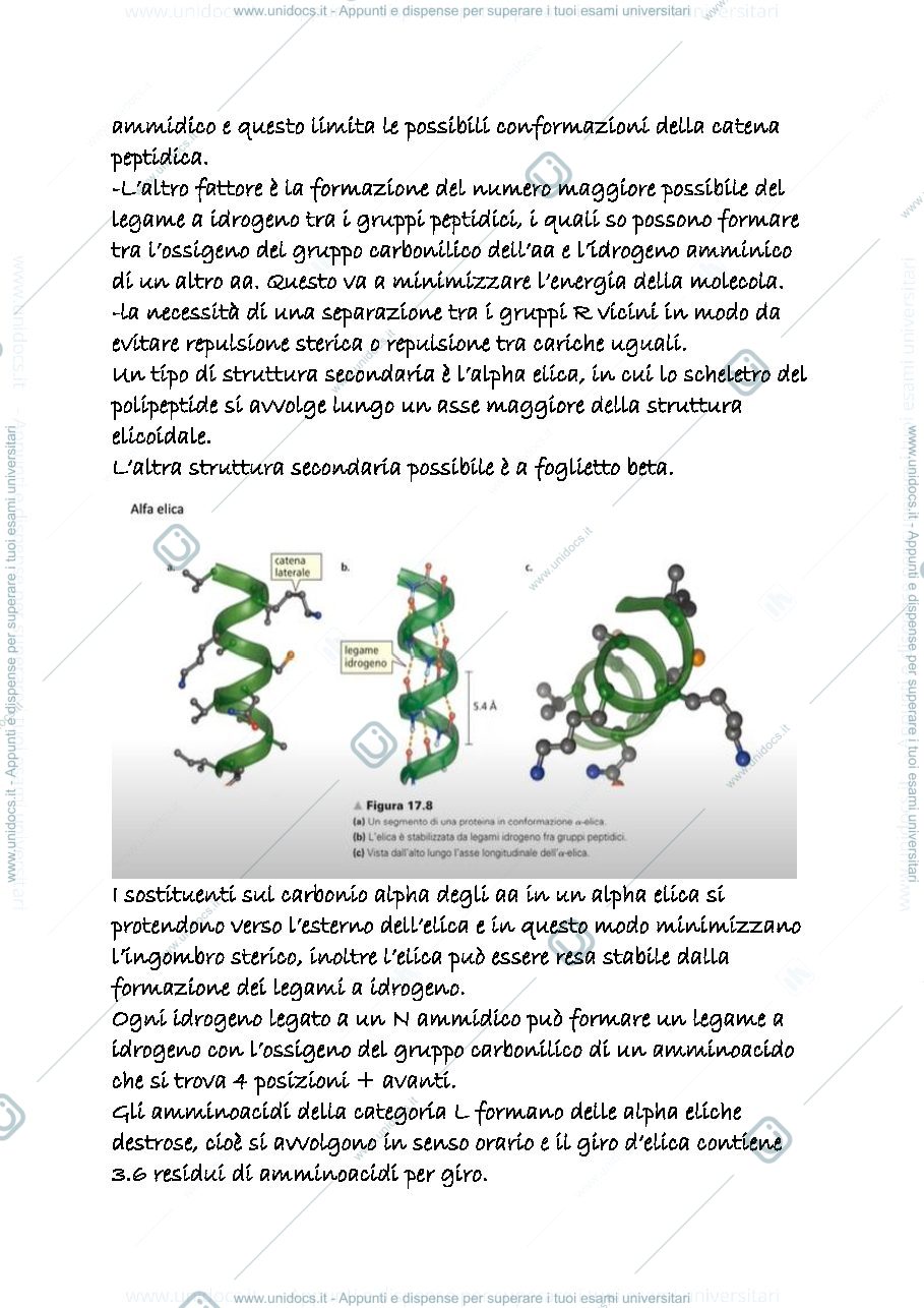 Anteprima pagina 2 — 23 c