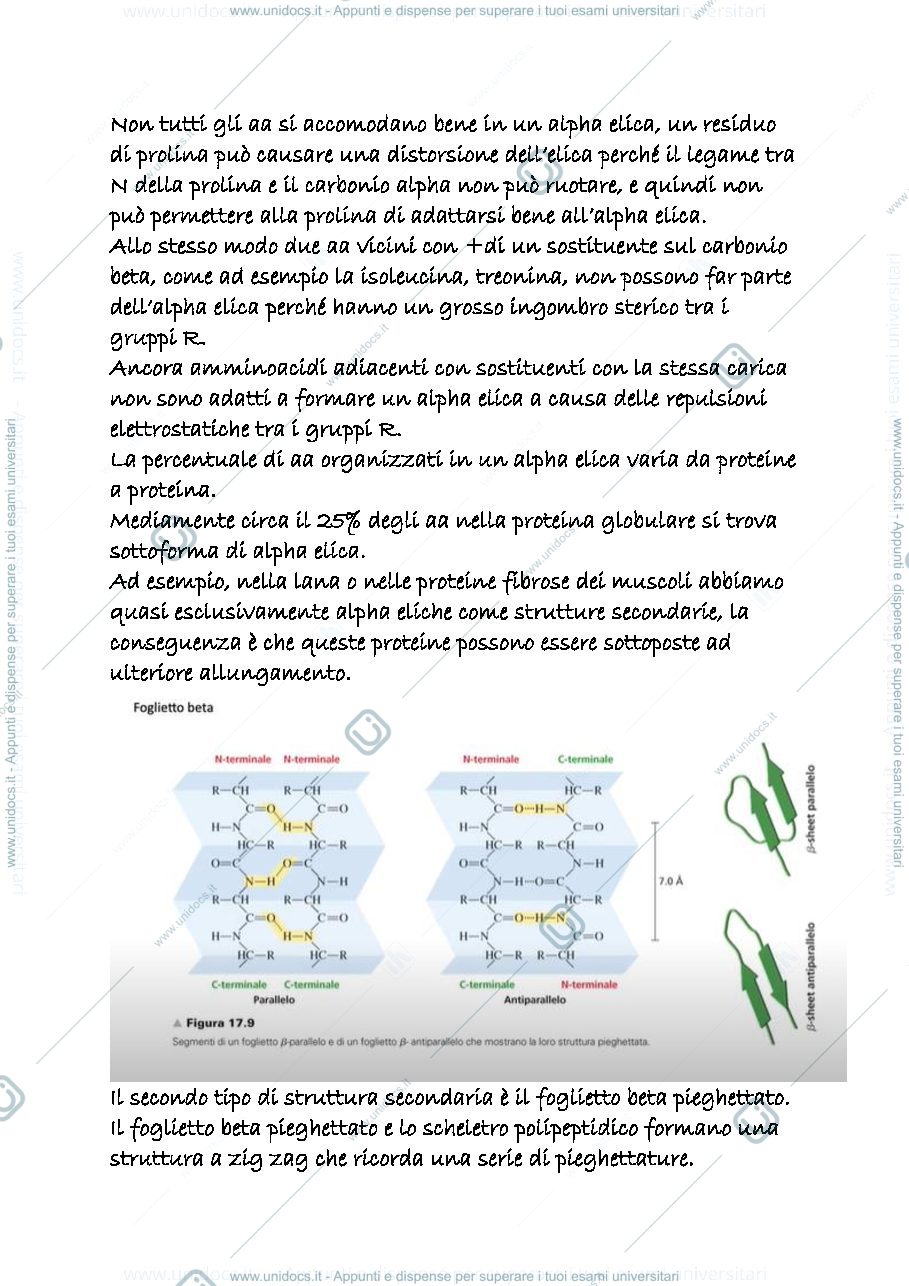 Anteprima pagina 3 — 23 c