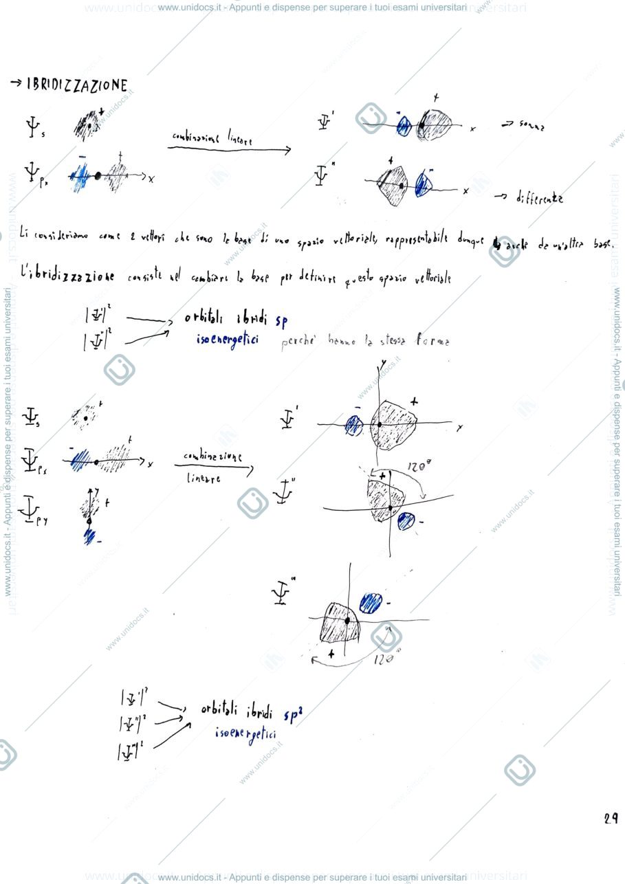 Anteprima pagina 1 — Ibridizzazione
