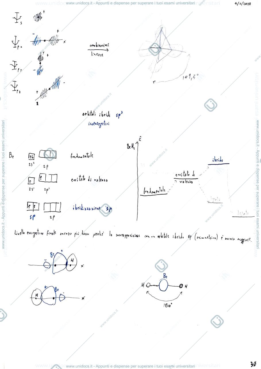 Anteprima pagina 2 — Ibridizzazione