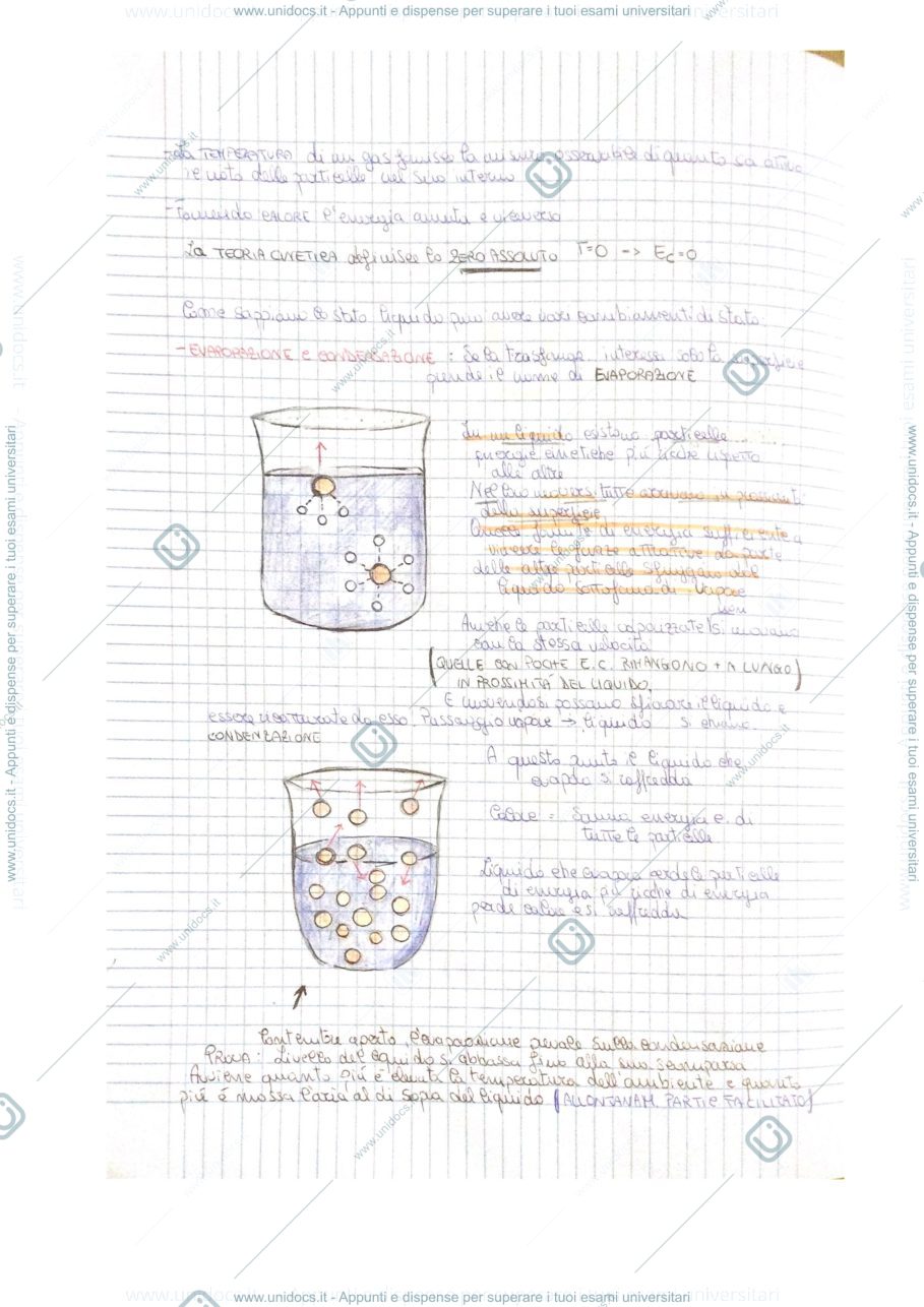 Anteprima pagina 1 — Chimica