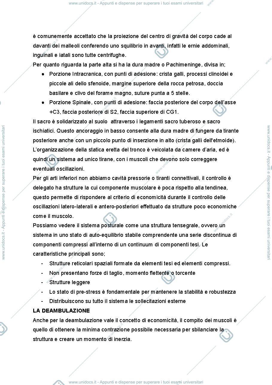 Anteprima pagina 4 — Chinesiologia