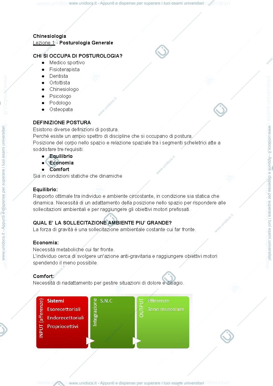 Anteprima pagina 1 — Appunti Chinesiologia