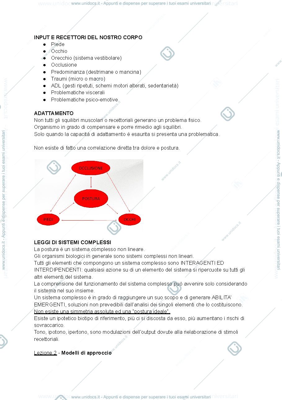 Anteprima pagina 2 — Appunti Chinesiologia