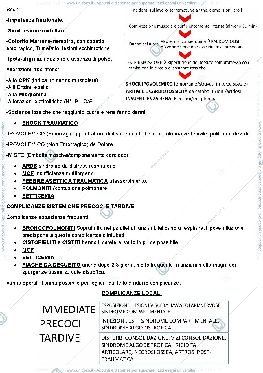 Anteprima pagina 3 — Fratture