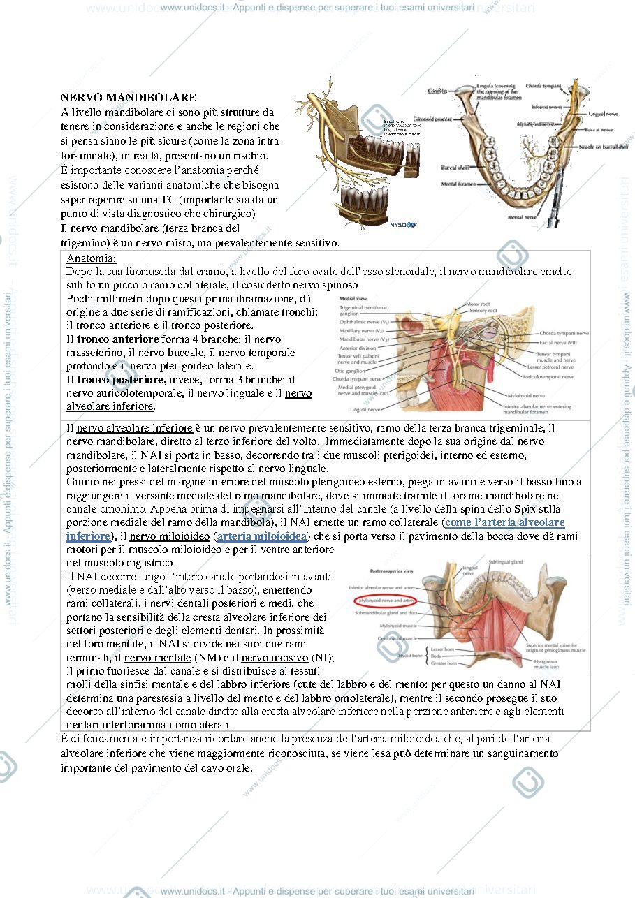 Anteprima pagina 3 — Safe implantologyy