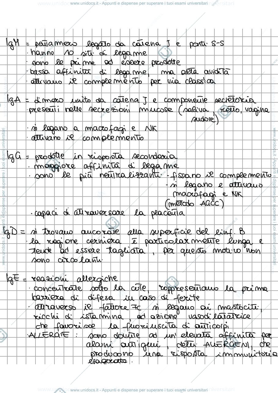 Anteprima pagina 2 — APPUNTI ANTICORPI RICOMBINANTI 