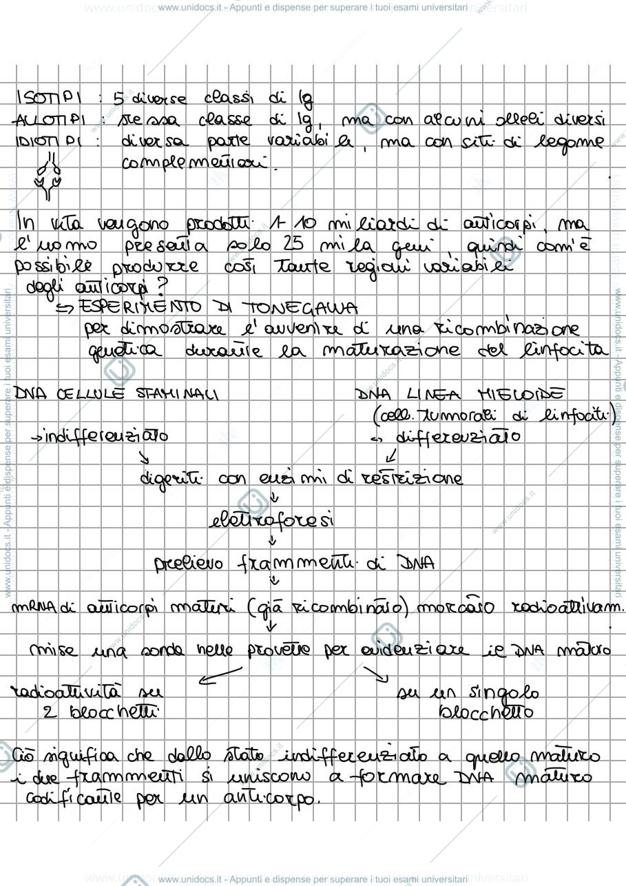 Anteprima pagina 3 — APPUNTI ANTICORPI RICOMBINANTI 