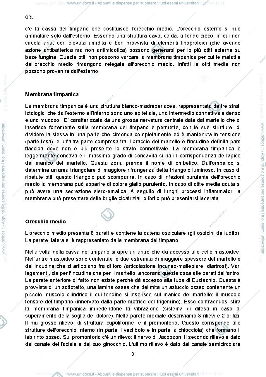 Anteprima pagina 3 — Appunti Audiologia Orl pag. 157