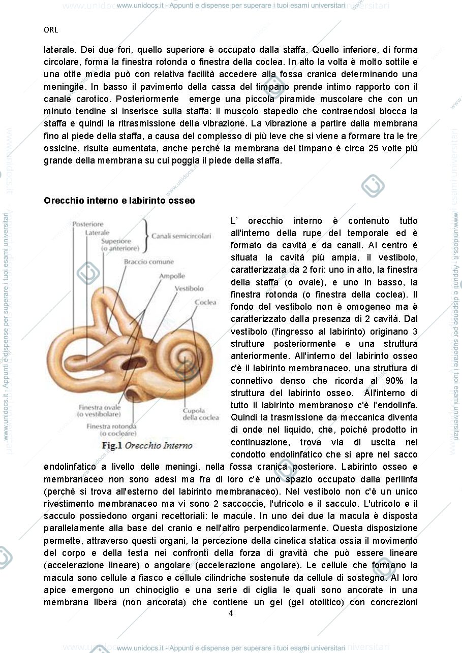 Anteprima pagina 4 — Appunti Audiologia Orl pag. 157