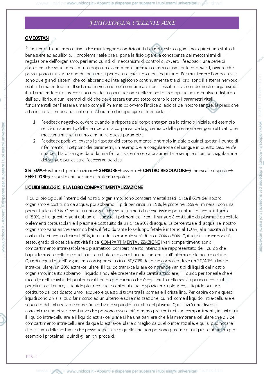 Anteprima pagina 1 — fisiologia completa