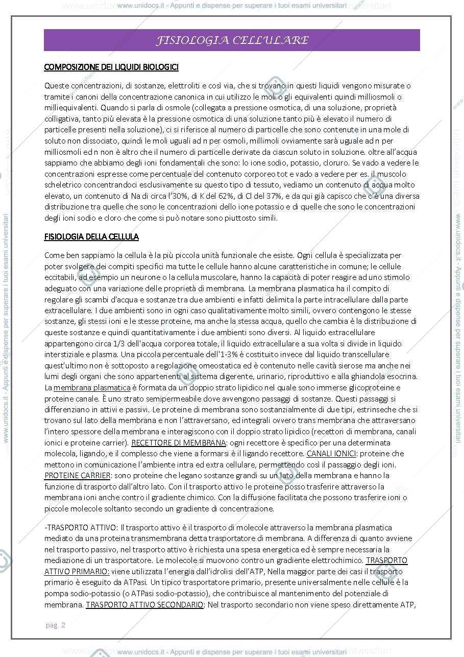 Anteprima pagina 2 — fisiologia completa