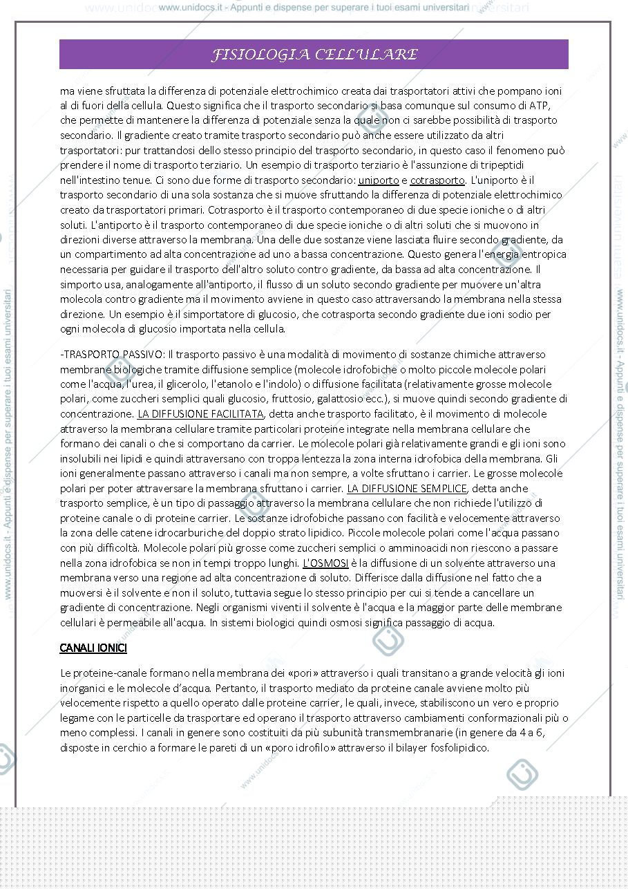 Anteprima pagina 3 — fisiologia completa