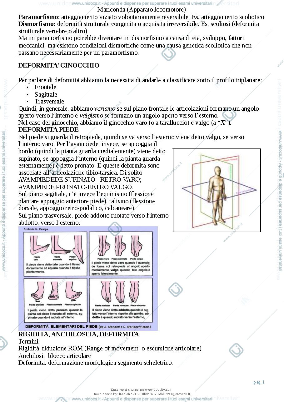 Anteprima pagina 2 — patologie dell'apparato locomotore