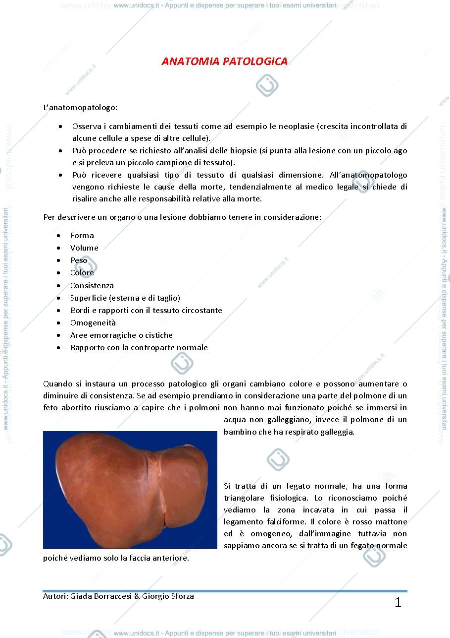 Anteprima pagina 1 — Anatomia patologica 