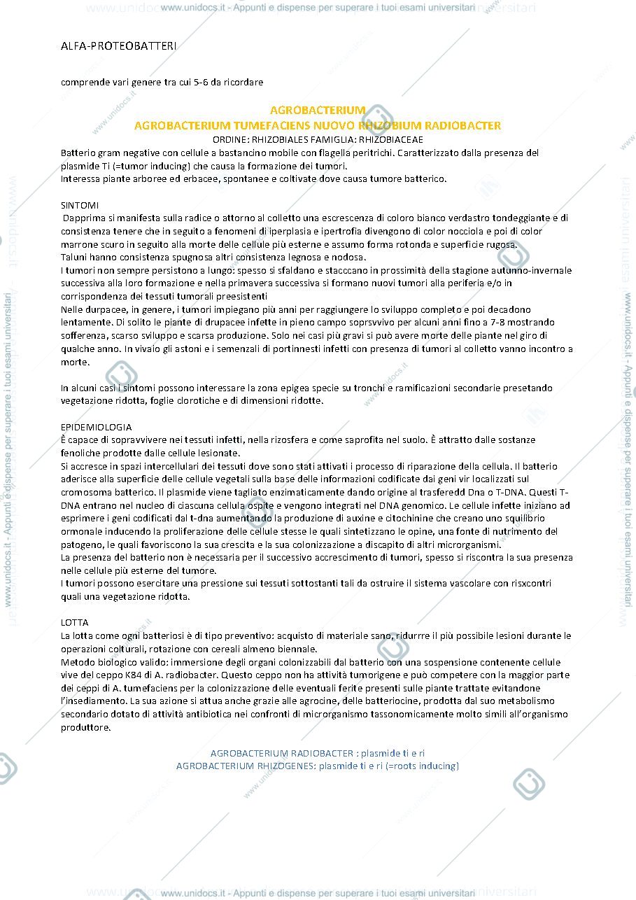 Anteprima pagina 1 — batteriologia 