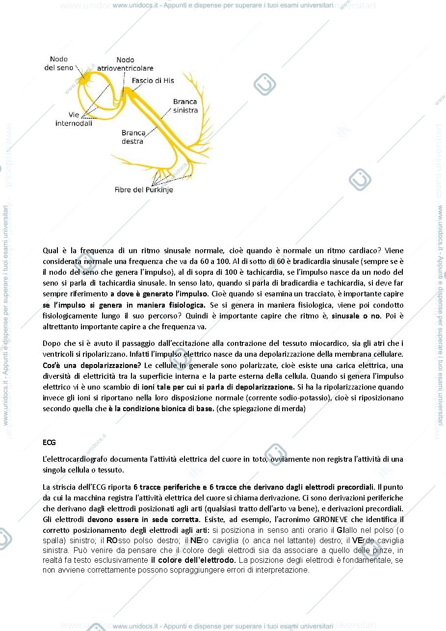 Anteprima pagina 2 — ecg/ fisiologia miocardio