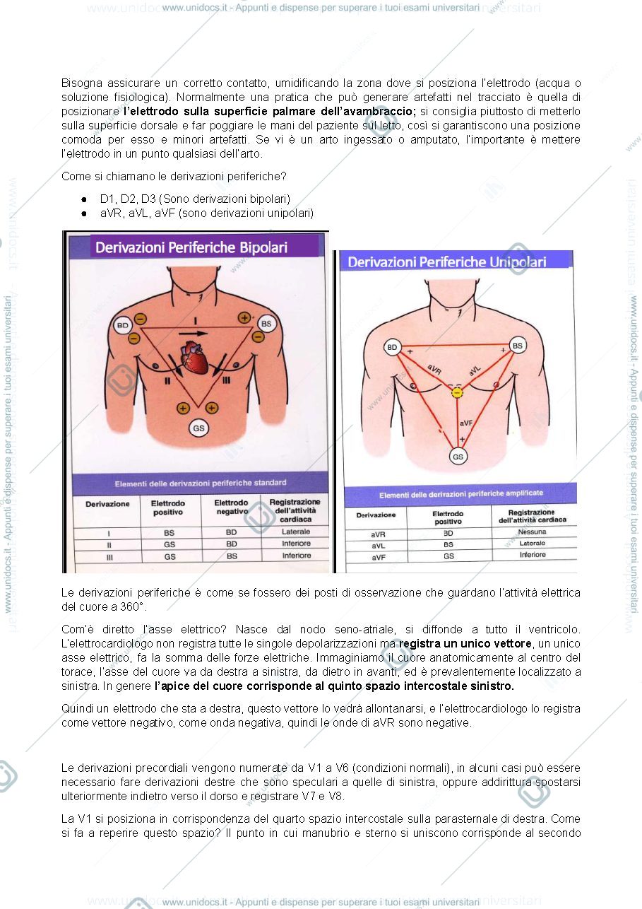 Anteprima pagina 3 — ecg/ fisiologia miocardio