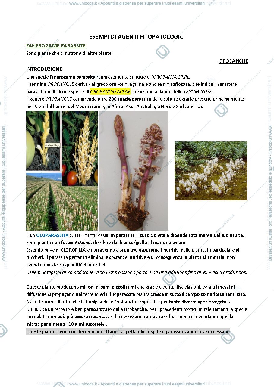 Anteprima pagina 2 — Alterazioni da agenti animali