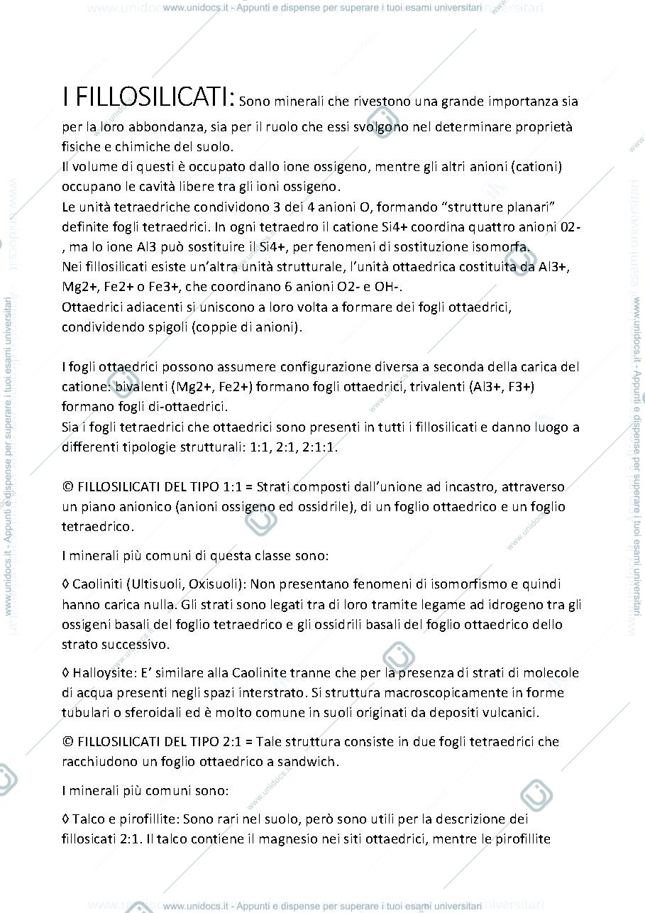 Anteprima pagina 1 — Ciclo della sostanza organica e dei nutrienti