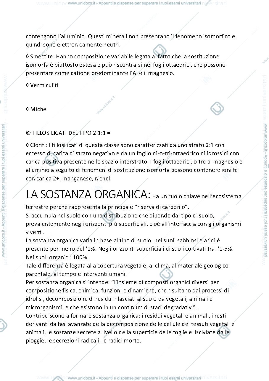 Anteprima pagina 2 — Ciclo della sostanza organica e dei nutrienti