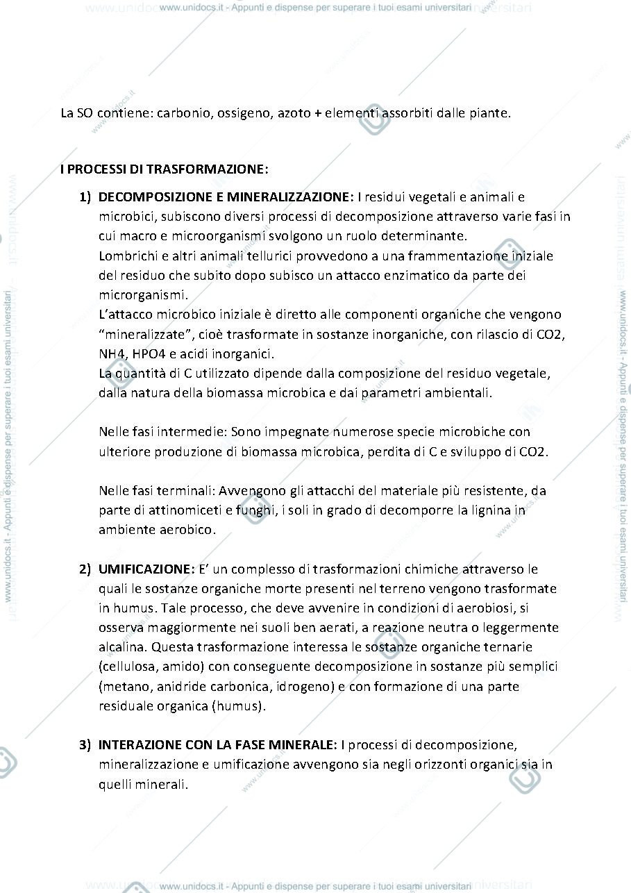 Anteprima pagina 3 — Ciclo della sostanza organica e dei nutrienti