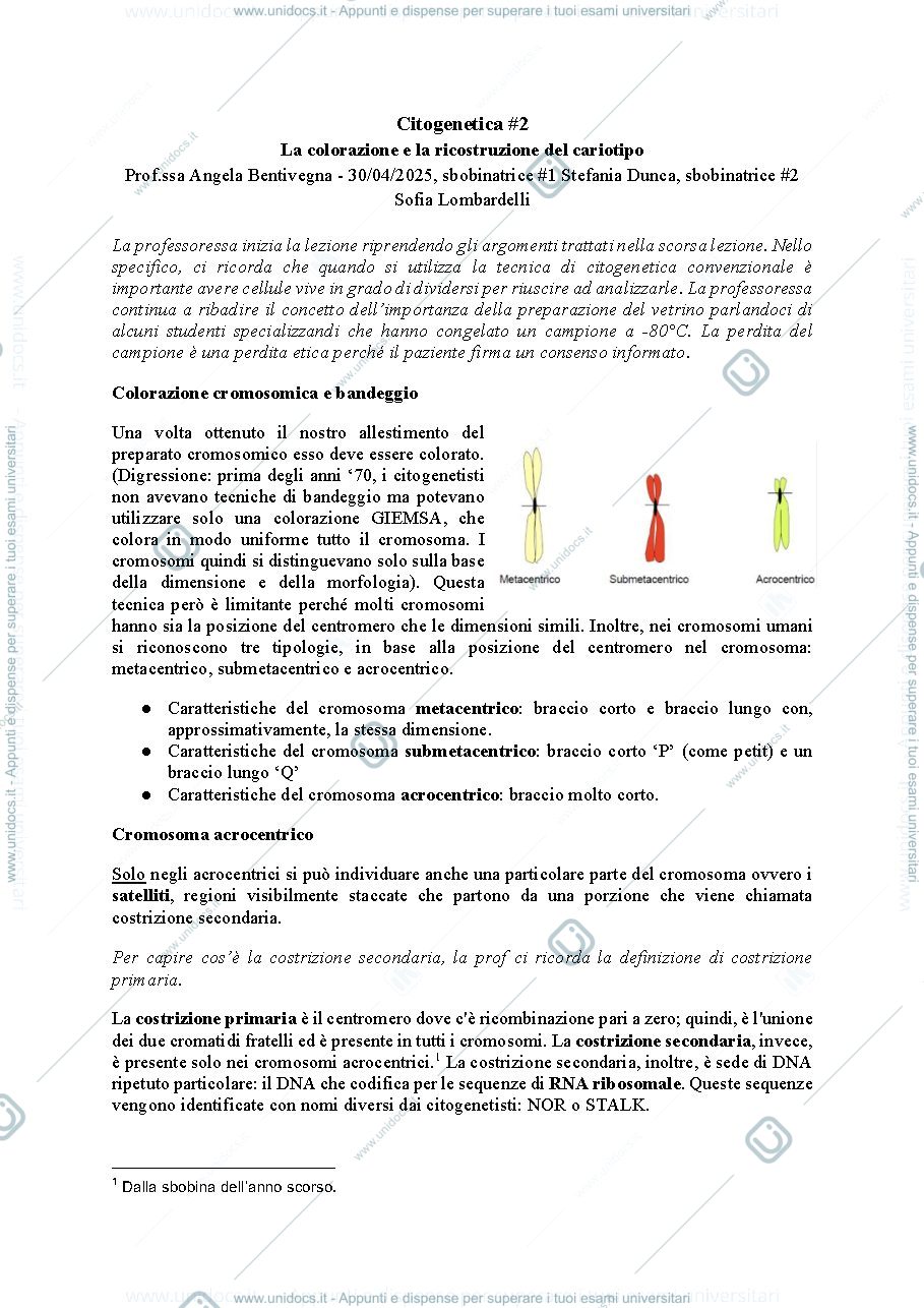 Anteprima pagina 1 — citogenetica