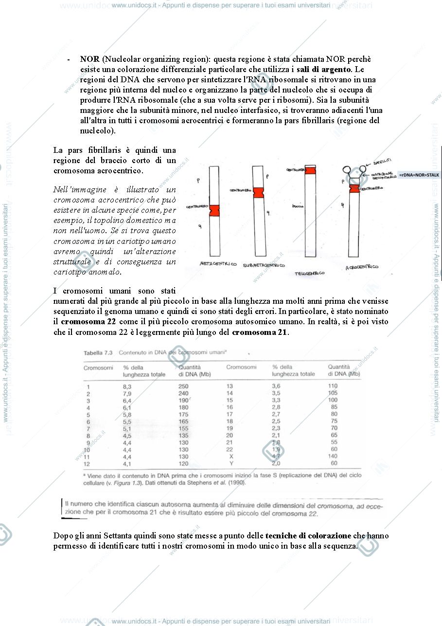 Anteprima pagina 2 — citogenetica