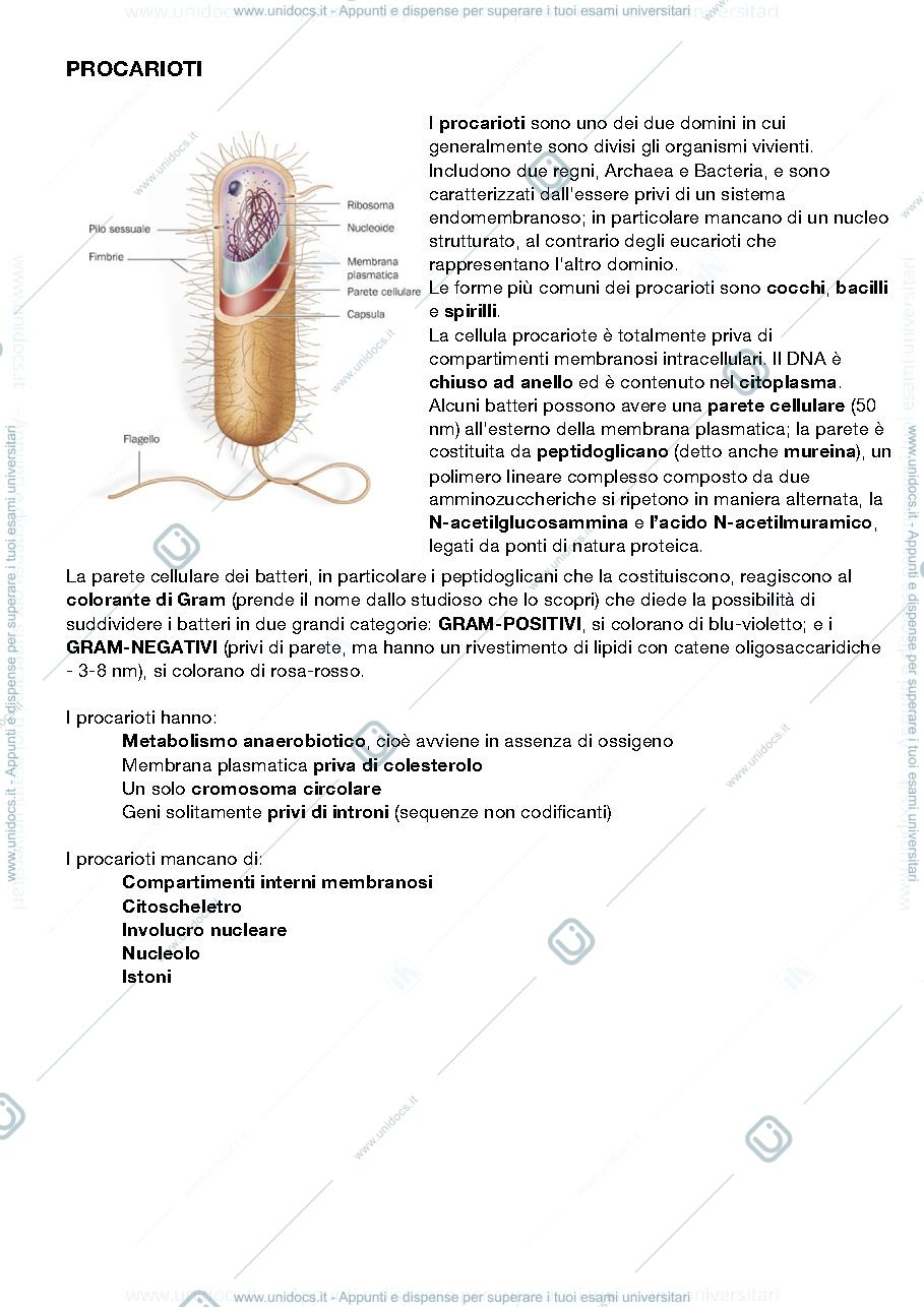 Anteprima pagina 1 — citologia e istologia sbobine 