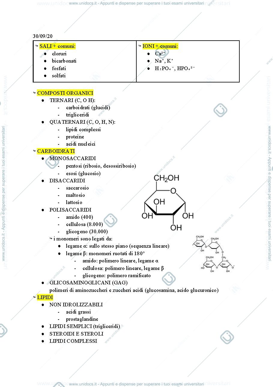 Anteprima pagina 2 — introduzione citologia