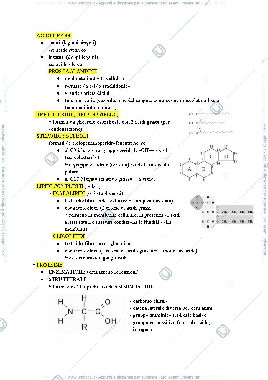 Anteprima pagina 3 — introduzione citologia