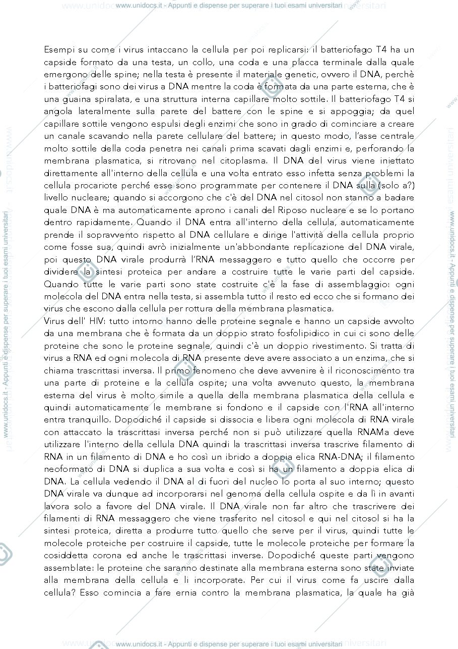 Anteprima pagina 2 — Membrana Plasmatica e Procarioti